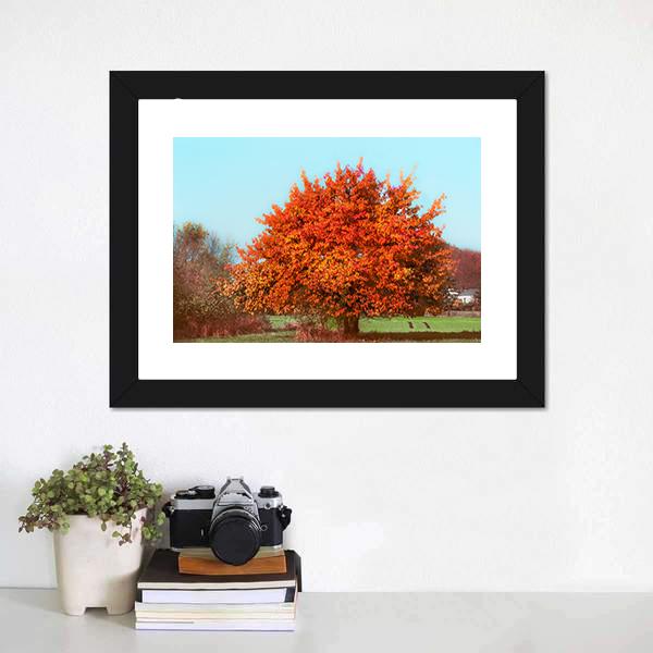 Red Autumn Foliage Canvas Wall Art-1 Piece-Framed Print-20" x 16"-Tiaracle