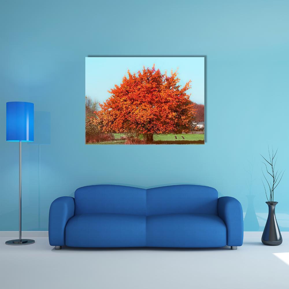 Autumn Tree with Red Foliage Canvas Wall Art in red, orange and blue, single panel hung on a wall