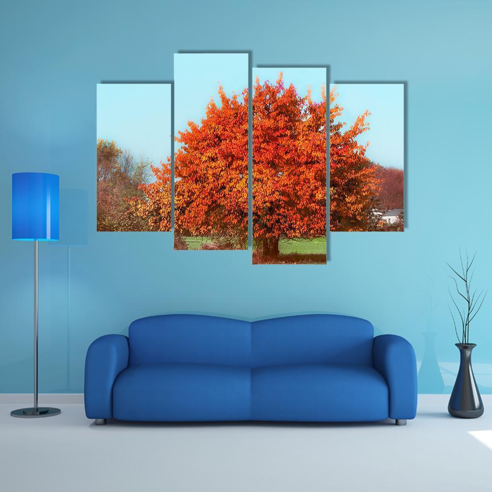 Red Autumn Foliage Canvas Wall Art-4 Pop-Gallery Wrap-50" x 32"-Tiaracle