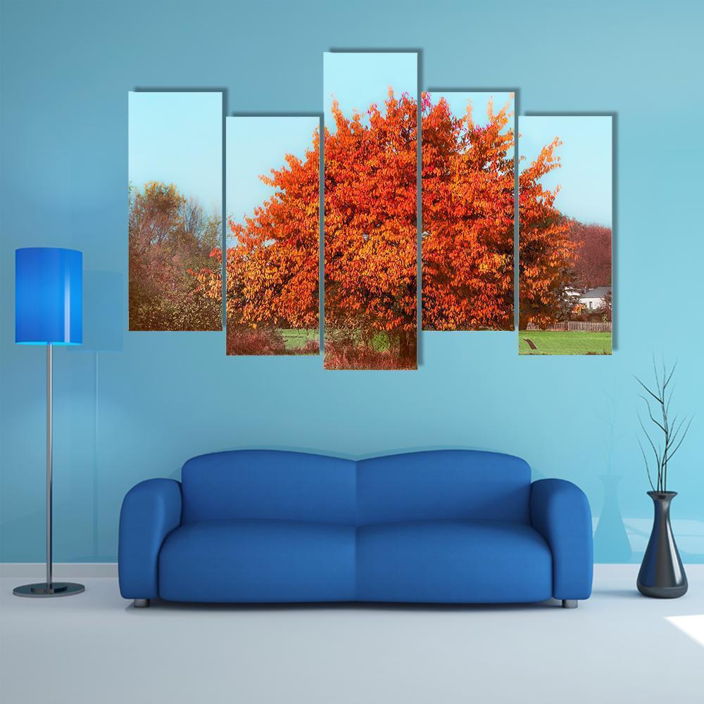 Red Autumn Foliage Canvas Wall Art-5 Pop-Gallery Wrap-47" x 32"-Tiaracle