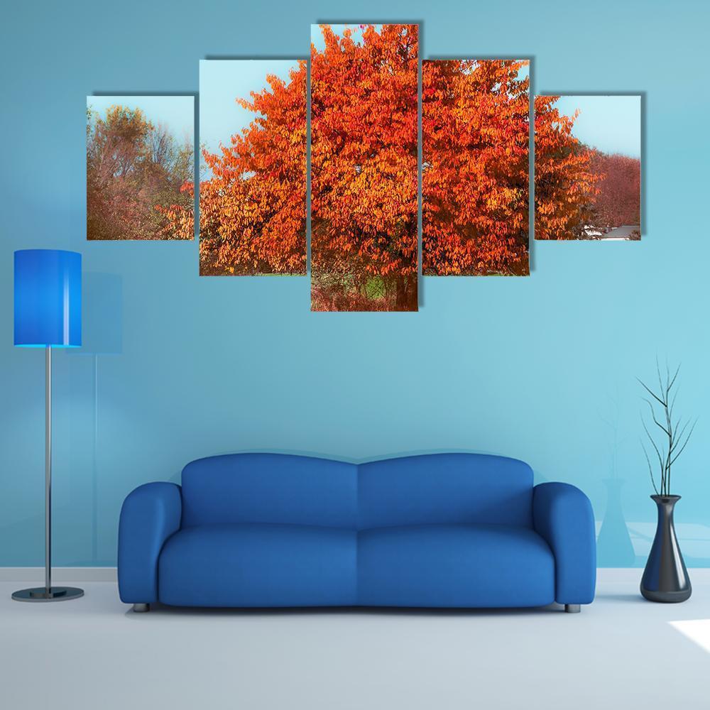 Red Autumn Foliage Canvas Wall Art-3 Horizontal-Gallery Wrap-37" x 24"-Tiaracle