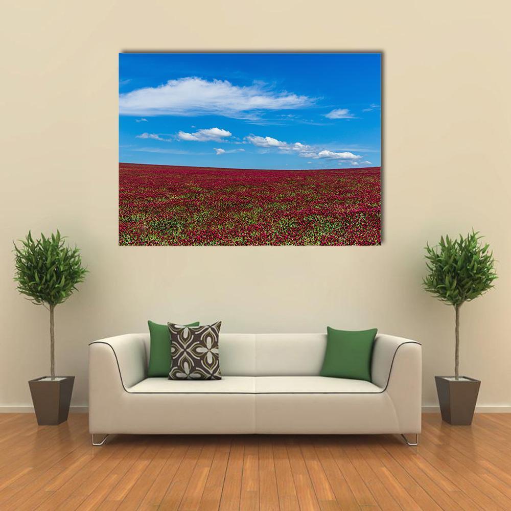 Red Clover Field and Blue Sky Canvas Wall Art in red, green and blue, single panel hung on a wall