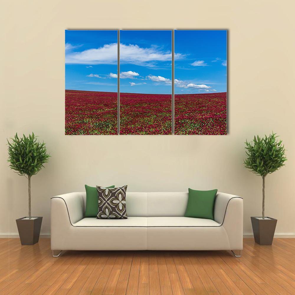 Red Clover Field And Blue Sky Canvas Wall Art-5 Star-Gallery Wrap-62" x 32"-Tiaracle
