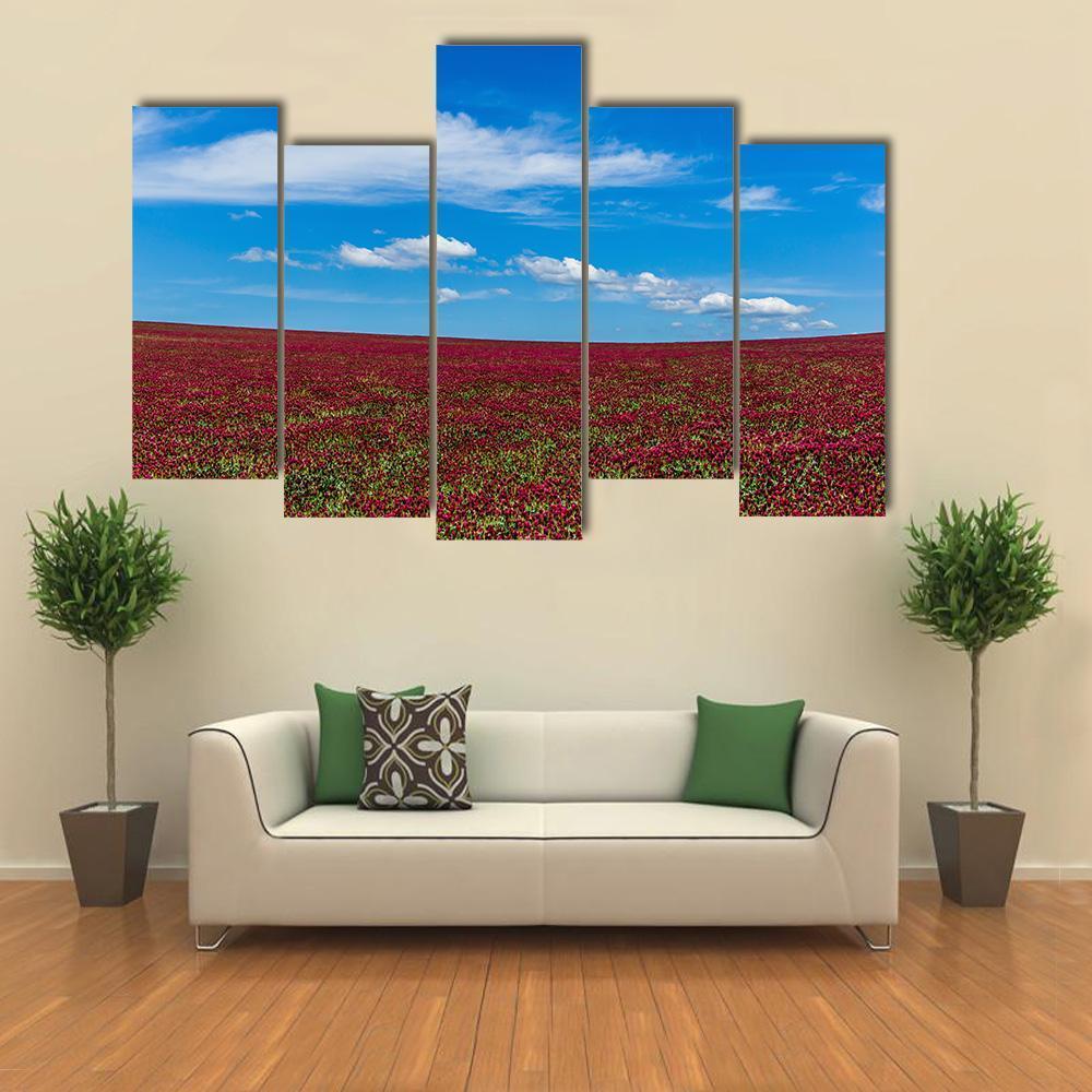 Red Clover Field And Blue Sky Canvas Wall Art-5 Pop-Gallery Wrap-47" x 32"-Tiaracle