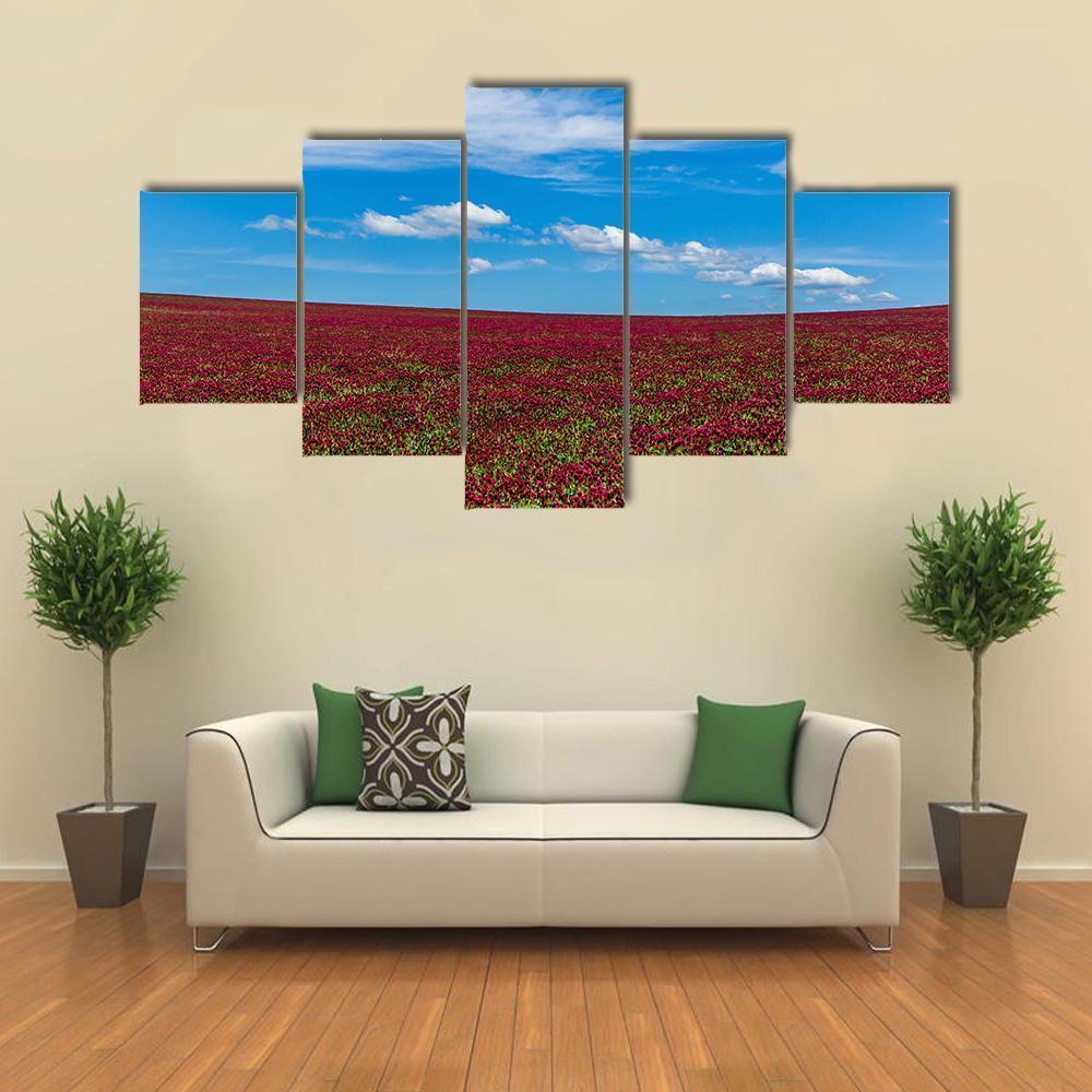 Red Clover Field And Blue Sky Canvas Wall Art-5 Star-Gallery Wrap-62" x 32"-Tiaracle