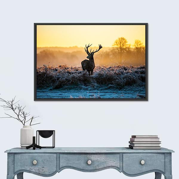 Red Deer in Morning Sun Canvas Wall Art-1 Piece-Floating Frame-24" x 16"-Tiaracle