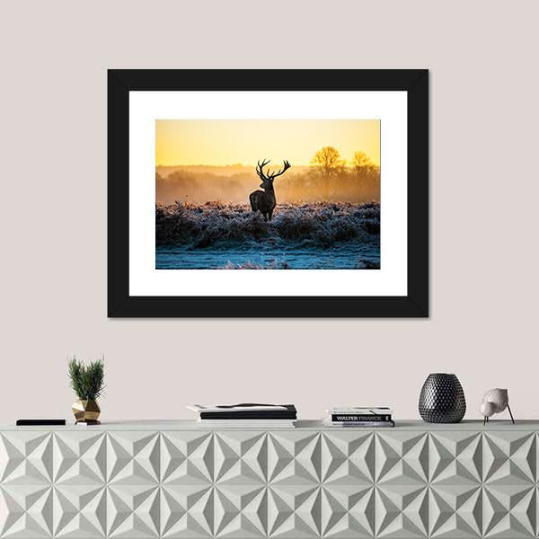 Red Deer in Morning Sun Canvas Wall Art-1 Piece-Framed Print-20" x 16"-Tiaracle