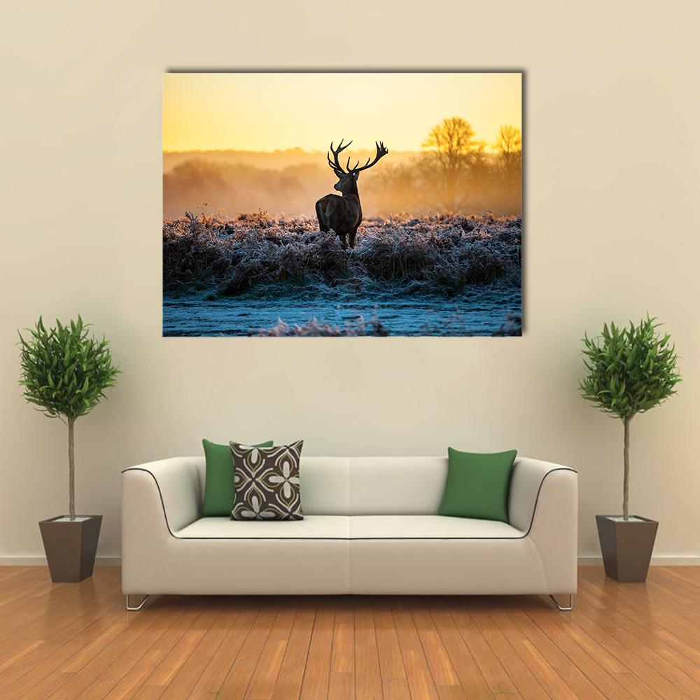 Red Deer in Morning Sun Canvas Wall Art in orange, yellow and blue, single panel hung on a wall