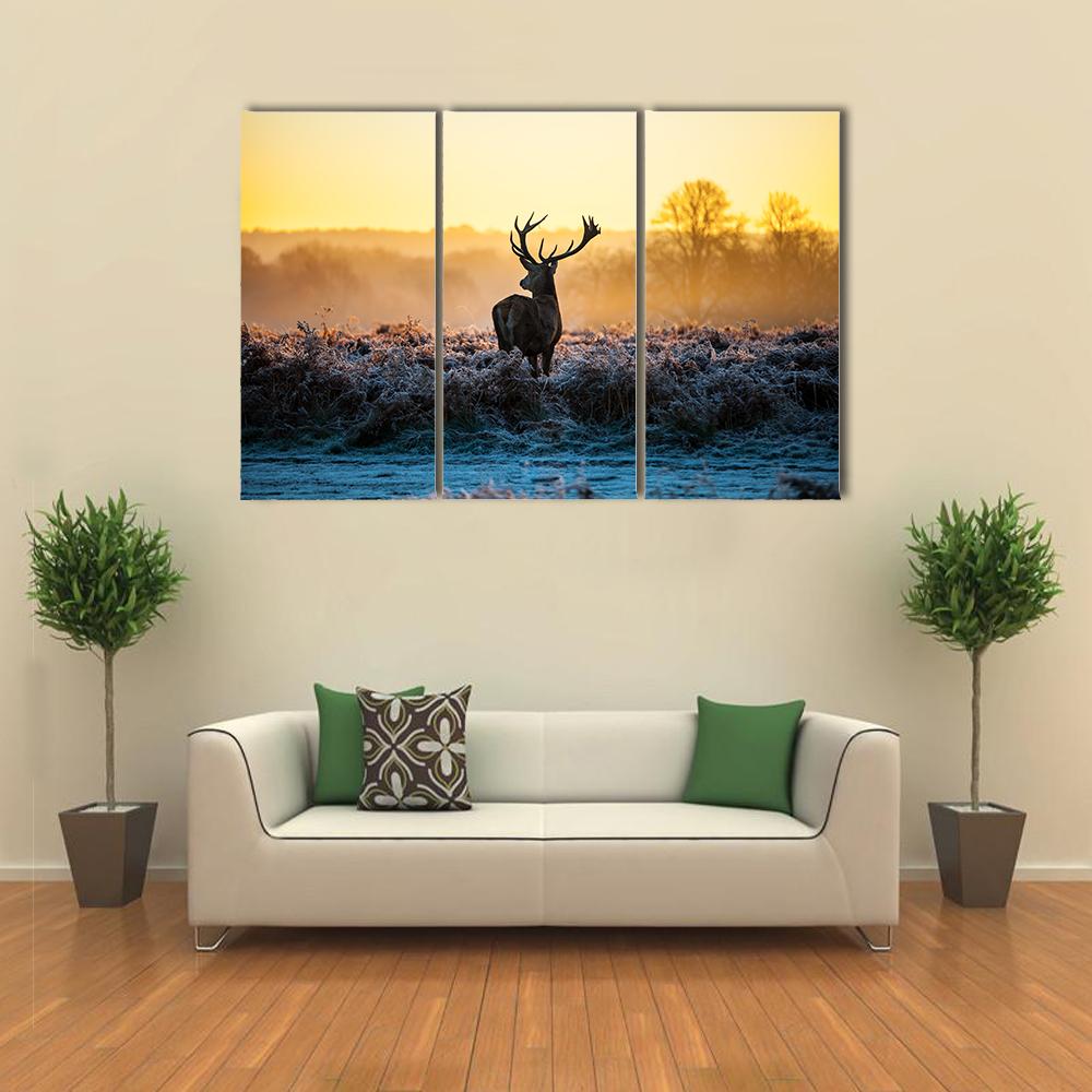 Red Deer in Morning Sun Canvas Wall Art-3 Horizontal-Gallery Wrap-25" x 16"-Tiaracle
