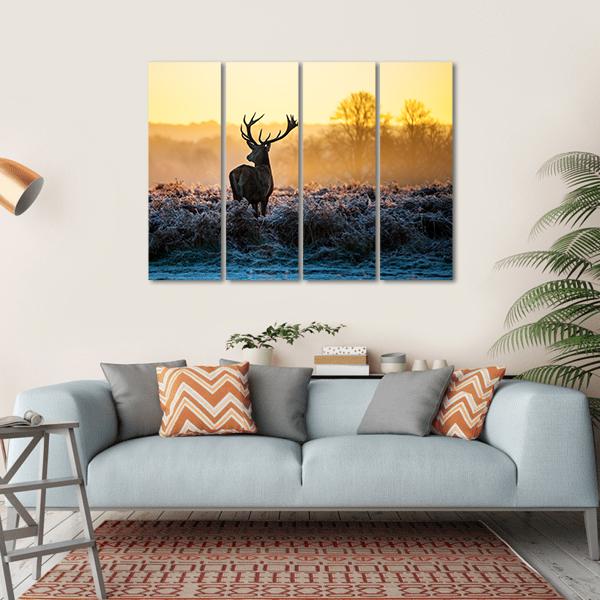Red Deer in Morning Sun Canvas Wall Art-4 Horizontal-Gallery Wrap-34" x 24"-Tiaracle