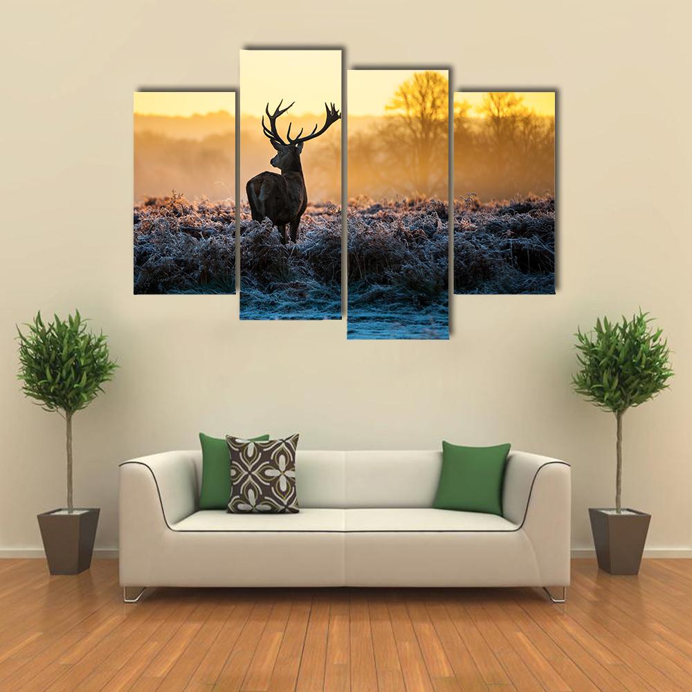 Red Deer in Morning Sun Canvas Wall Art-4 Pop-Gallery Wrap-34" x 20"-Tiaracle