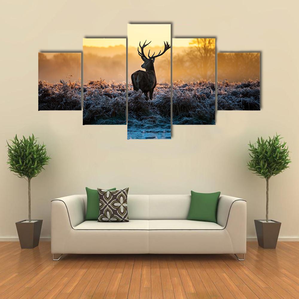 Red Deer in Morning Sun Canvas Wall Art-5 Star-Gallery Wrap-42" x 21"-Tiaracle