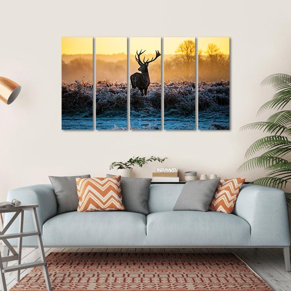 Red Deer in Morning Sun Canvas Wall Art-5 Horizontal-Gallery Wrap-22" x 12"-Tiaracle