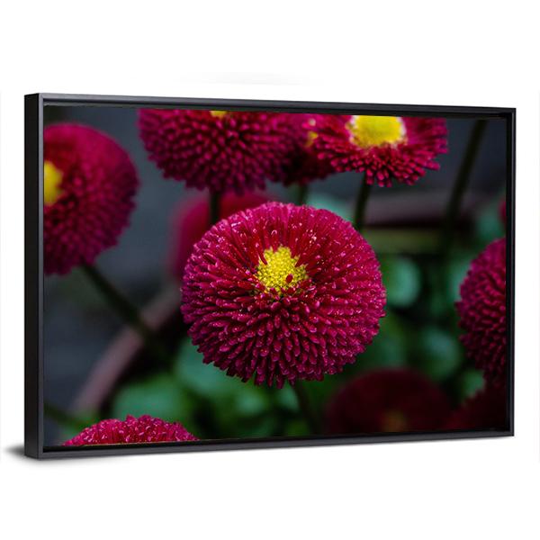 Red Flowers In Apot Canvas Wall Art-3 Horizontal-Gallery Wrap-25" x 16"-Tiaracle