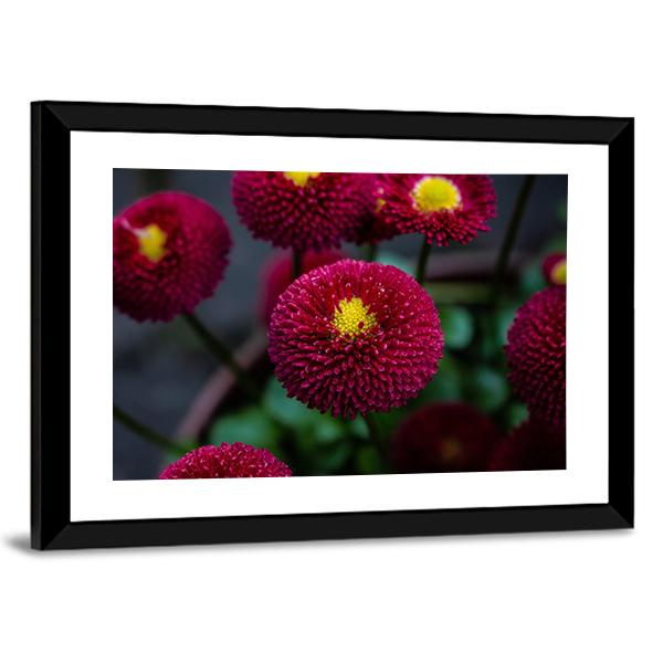 Red Flowers In Apot Canvas Wall Art-3 Horizontal-Gallery Wrap-25" x 16"-Tiaracle