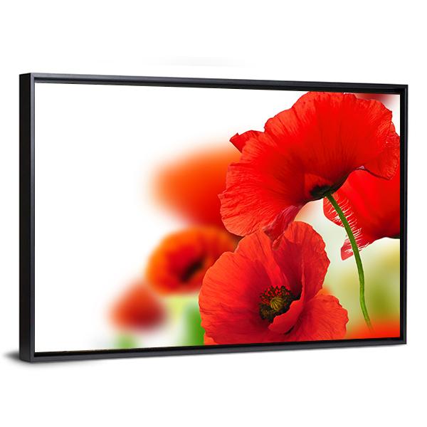 Red Poppies Canvas Wall Art-3 Horizontal-Gallery Wrap-25" x 16"-Tiaracle