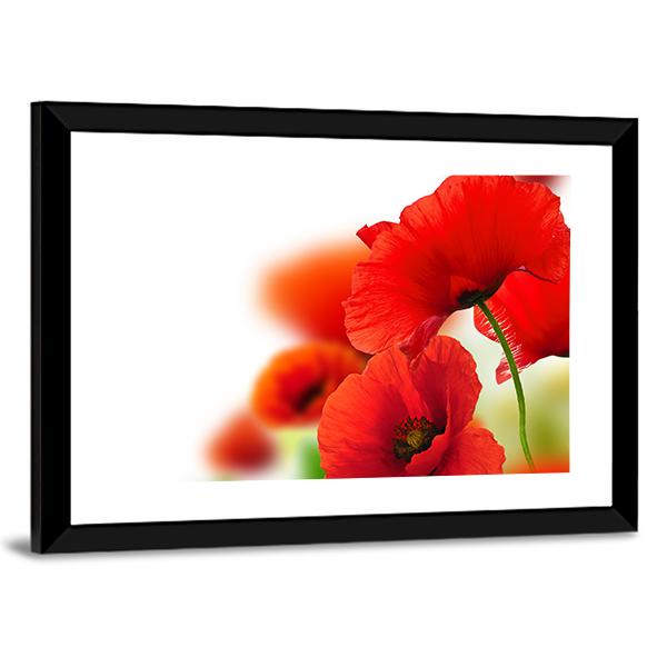 Red Poppies Canvas Wall Art-3 Horizontal-Gallery Wrap-25" x 16"-Tiaracle