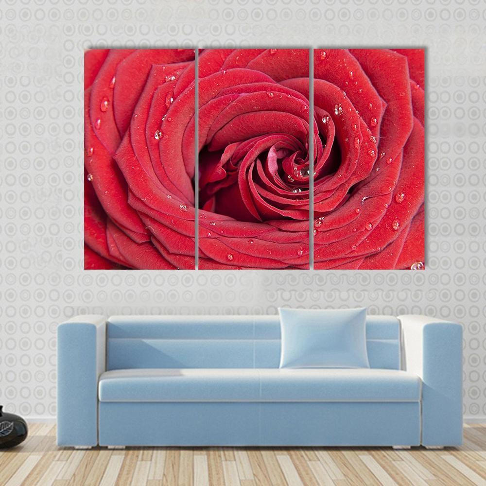 Red Rose Close Up Canvas Wall Art-3 Horizontal-Gallery Wrap-37" x 24"-Tiaracle