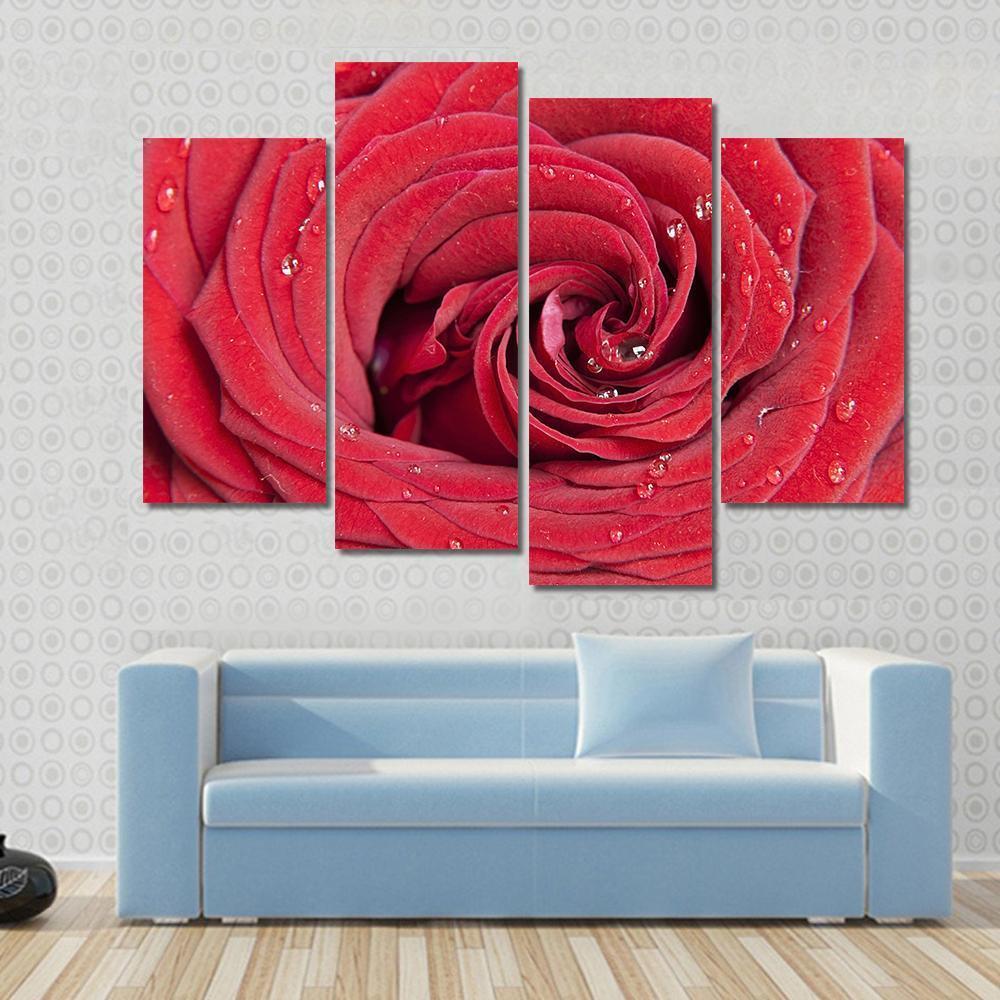 Red Rose Close Up Canvas Wall Art-4 Pop-Gallery Wrap-50" x 32"-Tiaracle