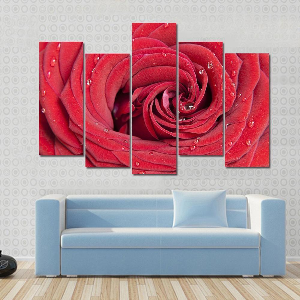 Red Rose Close Up Canvas Wall Art-5 Pop-Gallery Wrap-47" x 32"-Tiaracle