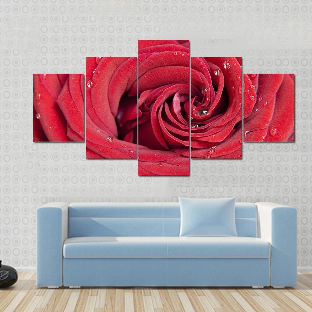 Red Rose Close Up Canvas Wall Art-5 Star-Gallery Wrap-62" x 32"-Tiaracle