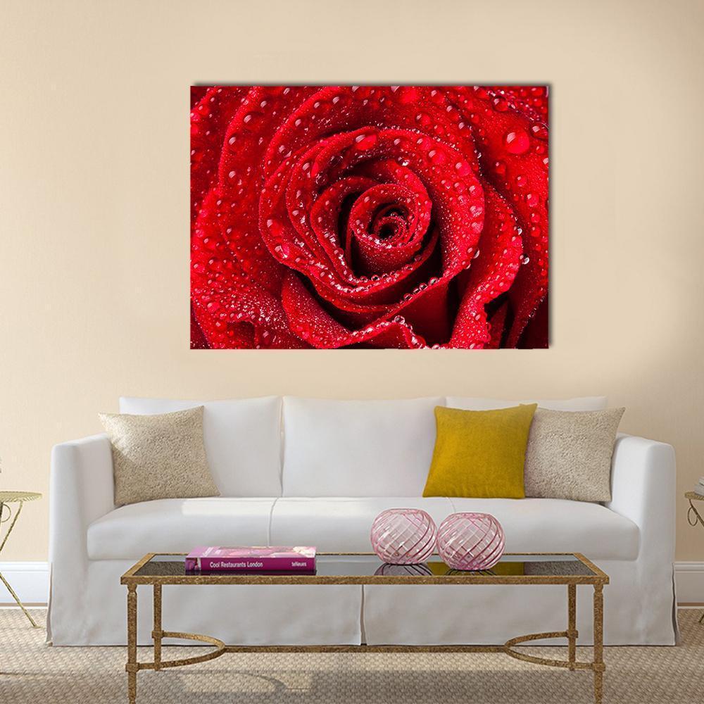 Red Rose with Dew Drops Canvas Wall Art in red, single panel hung on a wall