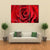 Red Rose With Dew Drops Canvas Wall Art-3 Horizontal-Gallery Wrap-37" x 24"-Tiaracle