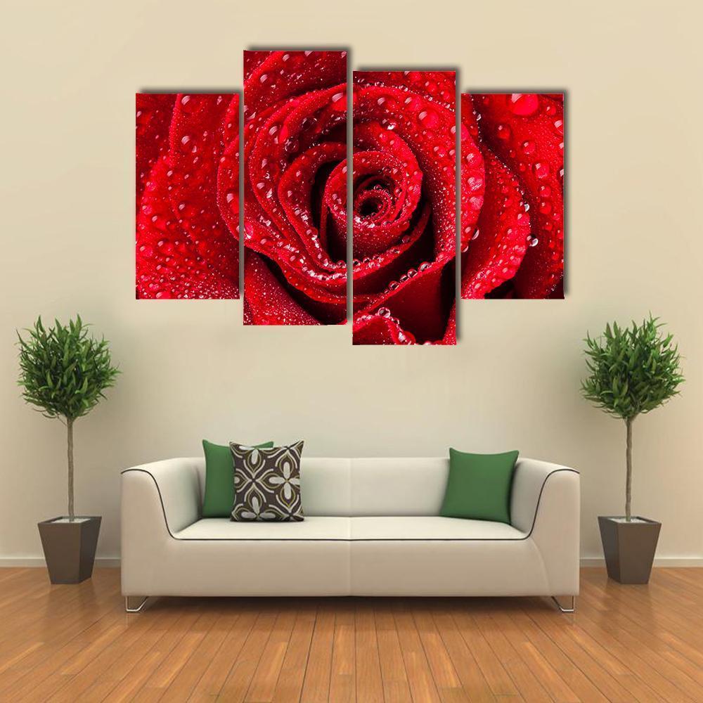 Red Rose With Dew Drops Canvas Wall Art-4 Pop-Gallery Wrap-50" x 32"-Tiaracle