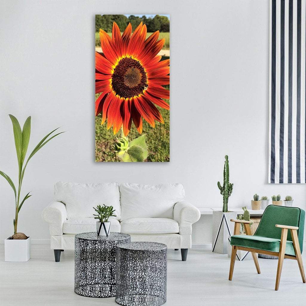 Red Sunflower in Spring Field Vertical Canvas Wall Art in red, orange and green, single vertical panel hung on a wall