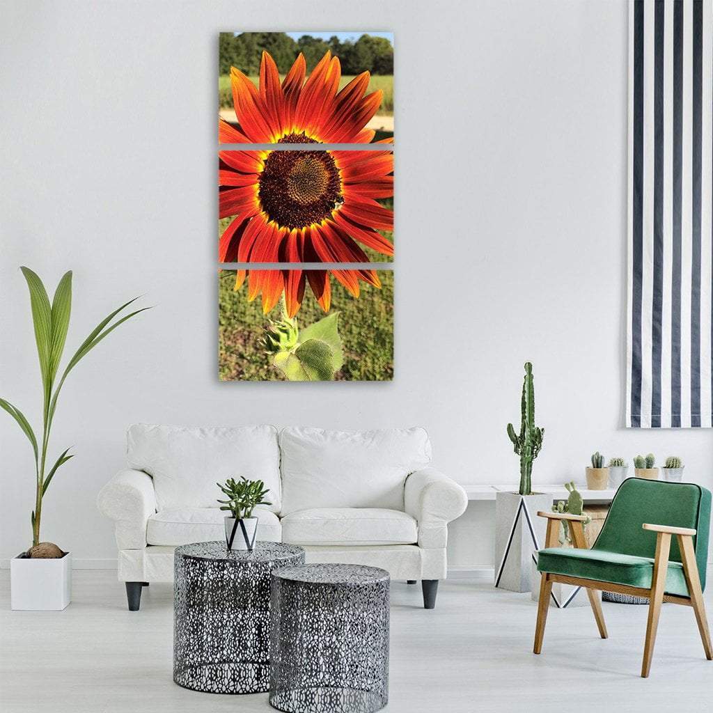 Red Sunflower In Spring Season Vertical Canvas Wall Art-3 Vertical-Gallery Wrap-12" x 25"-Tiaracle
