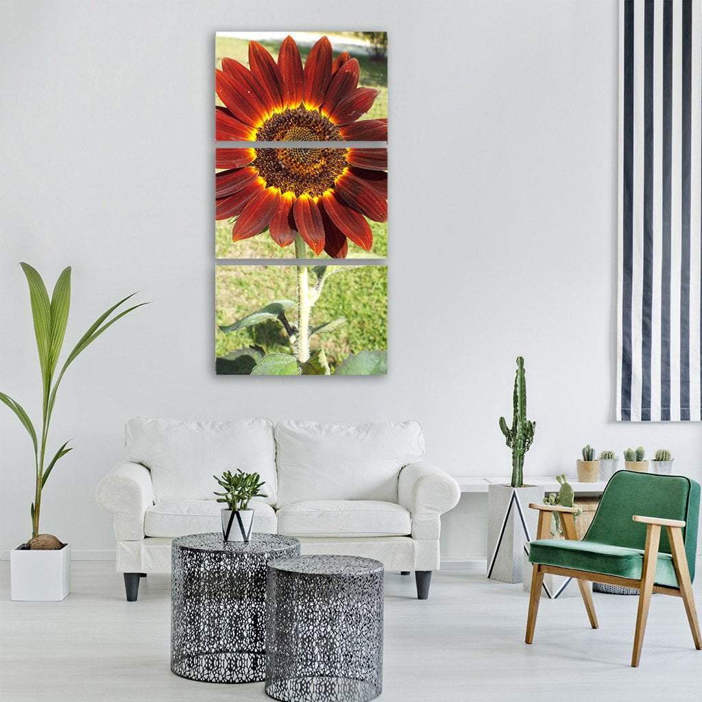 Red Sunflower Vertical Canvas Wall Art-3 Vertical-Gallery Wrap-12" x 25"-Tiaracle