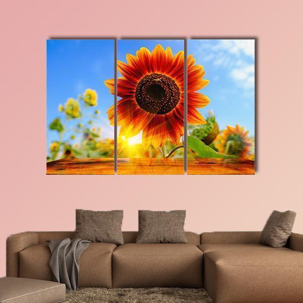 Red Sunflowers Field With Sun Rise Flare Effect Canvas Wall Art-3 Horizontal-Gallery Wrap-37" x 24"-Tiaracle