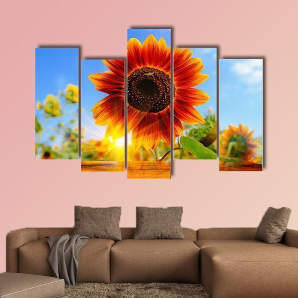 Red Sunflowers Field With Sun Rise Flare Effect Canvas Wall Art-5 Pop-Gallery Wrap-47" x 32"-Tiaracle