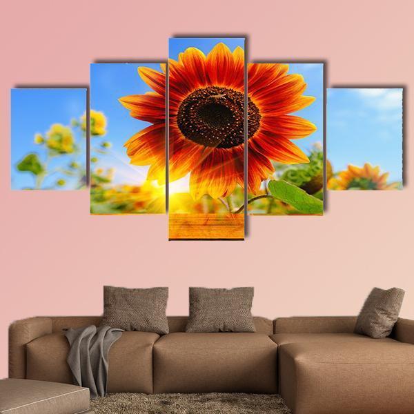Red Sunflowers Field With Sun Rise Flare Effect Canvas Wall Art-5 Star-Gallery Wrap-62" x 32"-Tiaracle