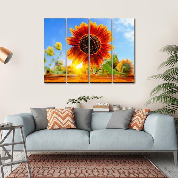 Red Sunflowers Field With Sunrise Flare Effect Canvas Wall Art-4 Horizontal-Gallery Wrap-34" x 24"-Tiaracle
