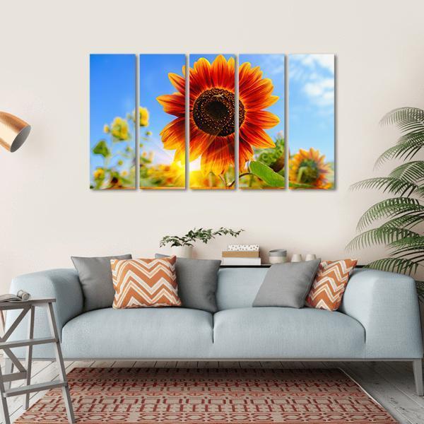 Red Sunflowers Field With Sunrise Flare Effect Canvas Wall Art-5 Horizontal-Gallery Wrap-22" x 12"-Tiaracle