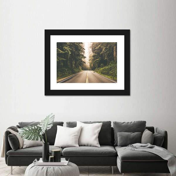 Redwood Forest Highway In California Canvas Wall Art-5 Horizontal-Gallery Wrap-22" x 12"-Tiaracle