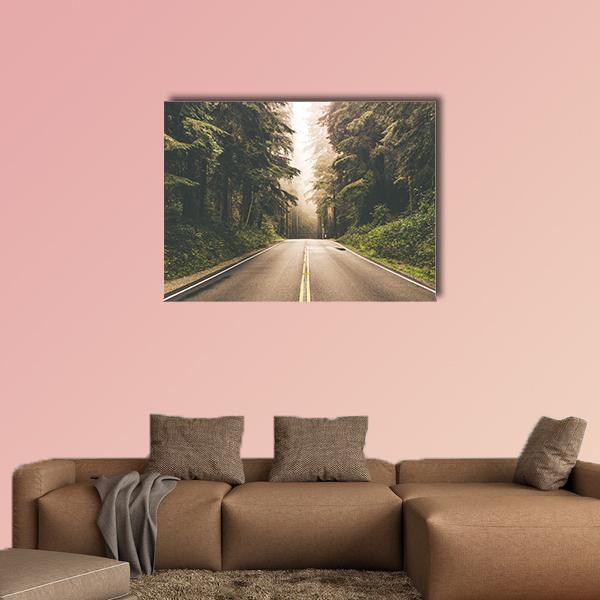Redwood Forest Highway, California Canvas Wall Art in gray, brown and green, single panel hung on a wall