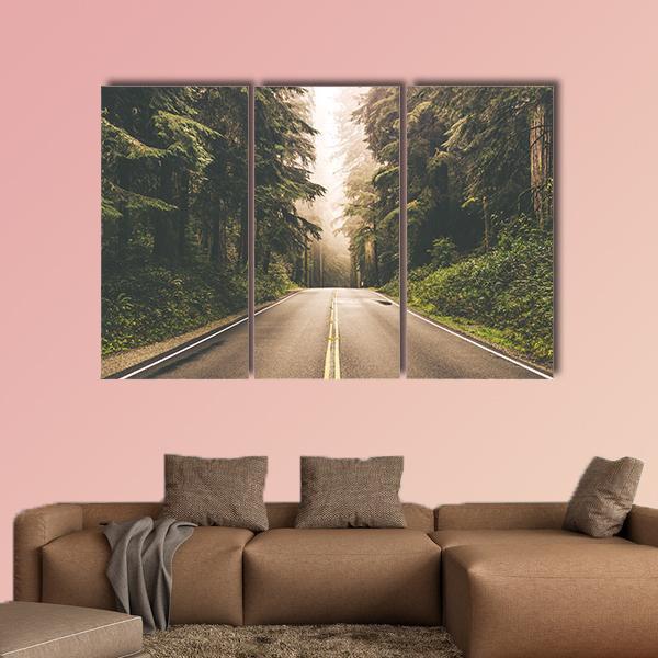 Redwood Forest Highway In California Canvas Wall Art-3 Horizontal-Gallery Wrap-37" x 24"-Tiaracle