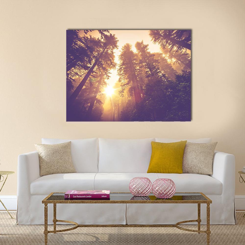 Redwood Forest In Warm Vintage Canvas Wall Art-1 Piece-Gallery Wrap-36" x 24"-Tiaracle