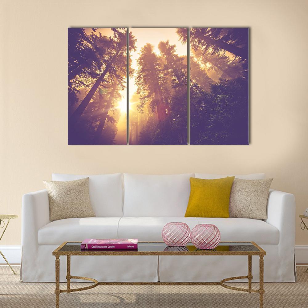 Redwood Forest In Warm Vintage Canvas Wall Art-3 Horizontal-Gallery Wrap-25" x 16"-Tiaracle