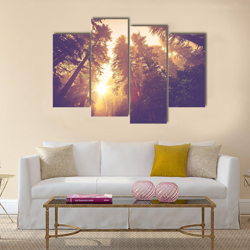 Redwood Forest In Warm Vintage Canvas Wall Art-4 Pop-Gallery Wrap-34" x 20"-Tiaracle