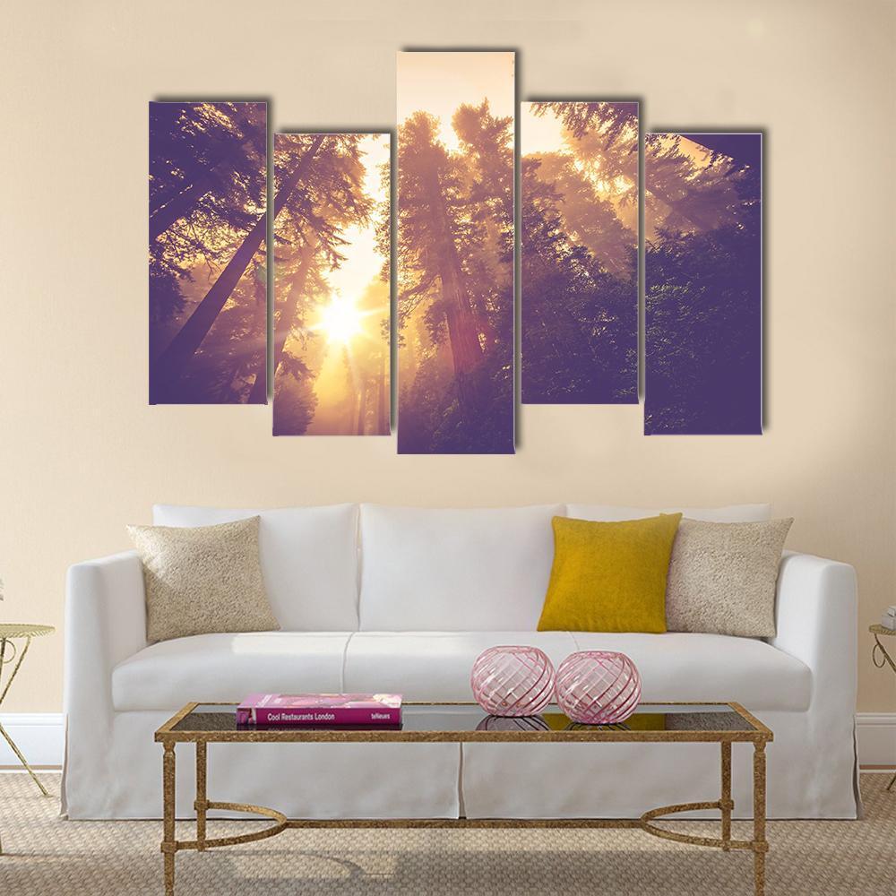 Redwood Forest In Warm Vintage Canvas Wall Art-5 Pop-Gallery Wrap-32" x 21"-Tiaracle