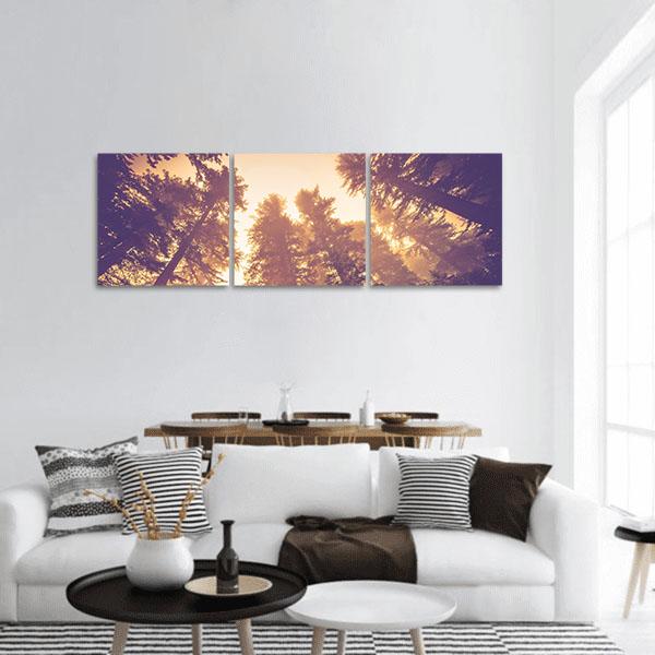 Redwood Canopy in Golden Light Panoramic Canvas Wall Art in gold, yellow and purple, hung on a wall