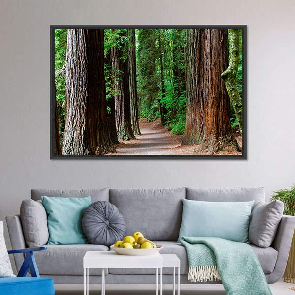Redwoods Forest Rotorua Canvas Wall Art-3 Horizontal-Gallery Wrap-25" x 16"-Tiaracle