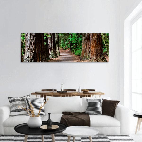 Redwoods Forest Rotorua Panoramic Canvas Wall Art-1 Piece-36&quot; x 12&quot;-Tiaracle