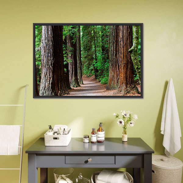 Redwoods Forest Rotorua Panoramic Canvas Wall Art-1 Piece-36&quot; x 12&quot;-Tiaracle