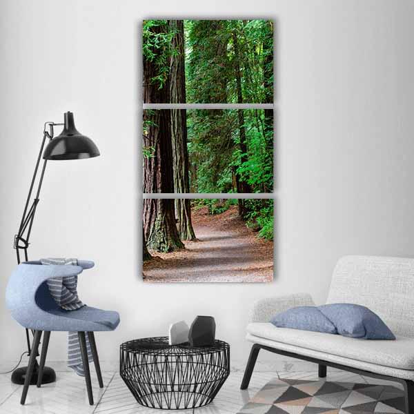 Redwoods Forest Rotorua Vertical Canvas Wall Art-1 Vertical-Gallery Wrap-12" x 24"-Tiaracle