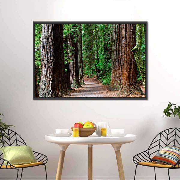 Redwoods Forest Rotorua Vertical Canvas Wall Art-3 Vertical-Gallery Wrap-12" x 25"-Tiaracle