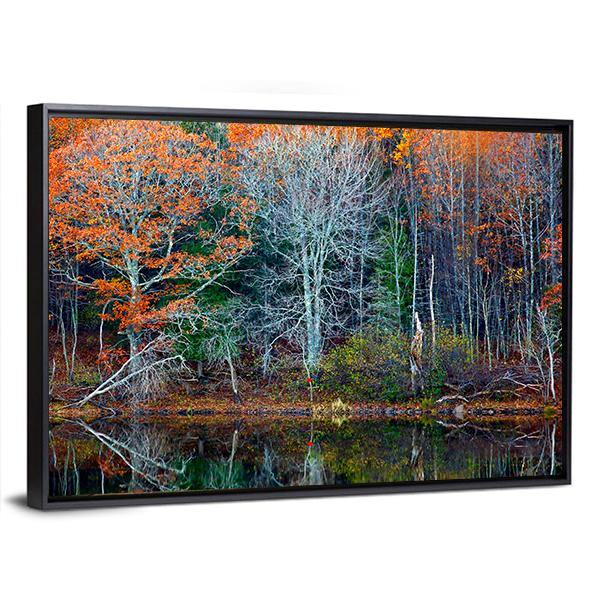 Reflections Of Trees In Water Canvas Wall Art-3 Horizontal-Gallery Wrap-25" x 16"-Tiaracle